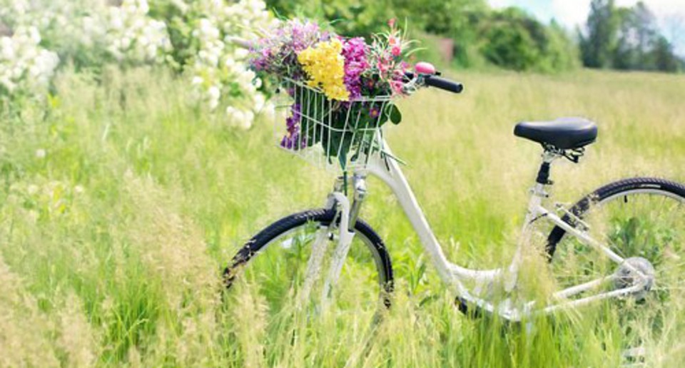 Cykel med cykelkorgen full av blommor.